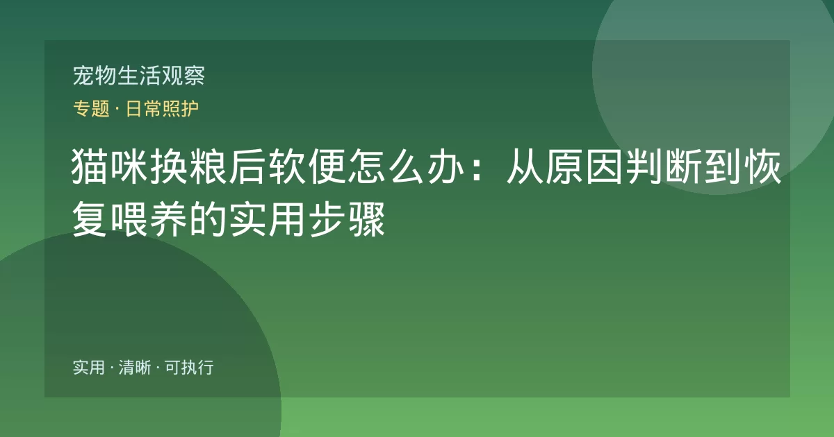 猫咪换粮后软便怎么办:从原因判断到恢复喂养的实用步骤